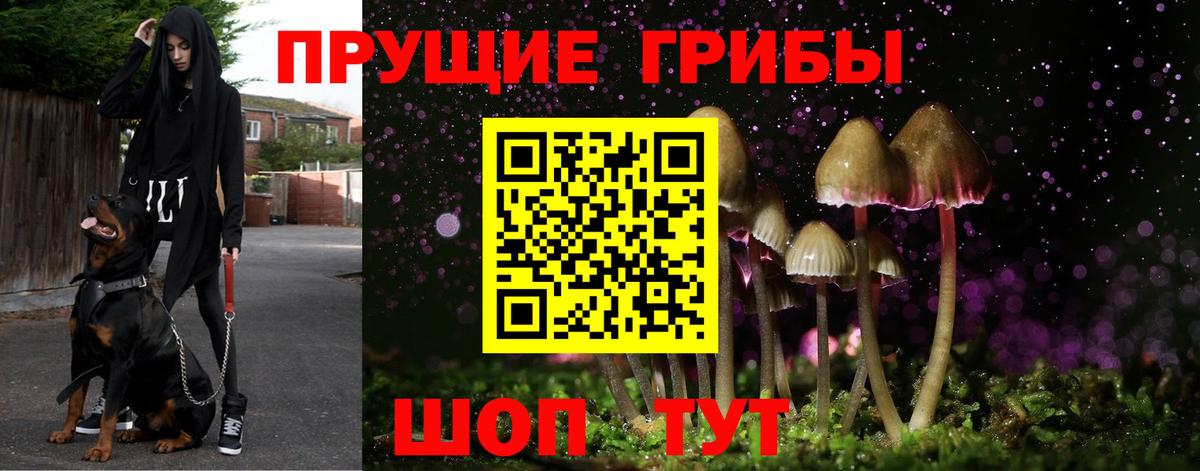 Новочеркасск  Галлюциногенные грибы Magic Shrooms  Вход с VPN  Псилоцибиновые грибы GOLDEN TEACHER 
