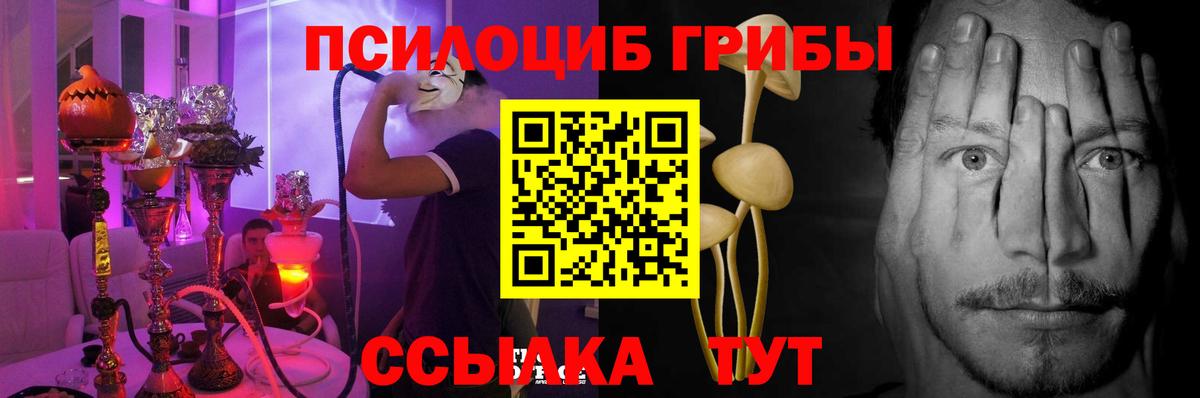 Псилоцибиновые грибы мухоморы Новочеркасск